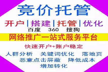 探索专业SEM托管的奥秘：从案例看效果